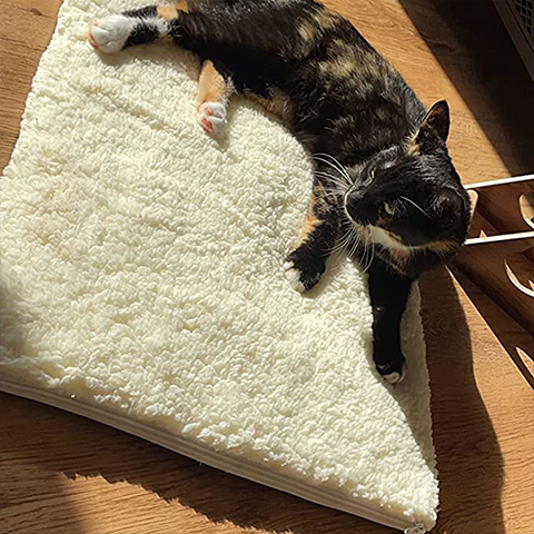 pet bed