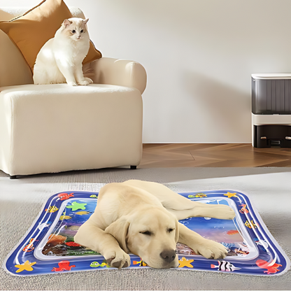 pet bed
