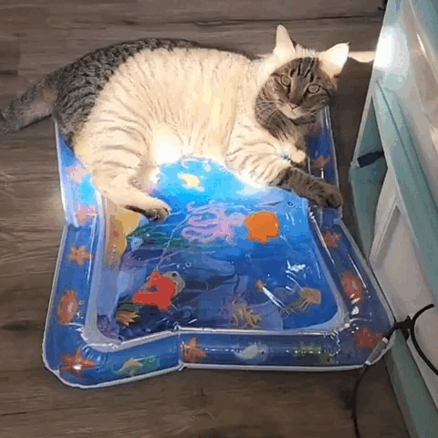 pet bed