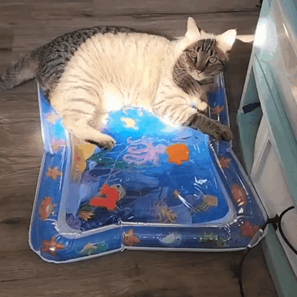 pet bed