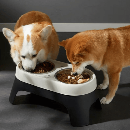 pet bowl – 3