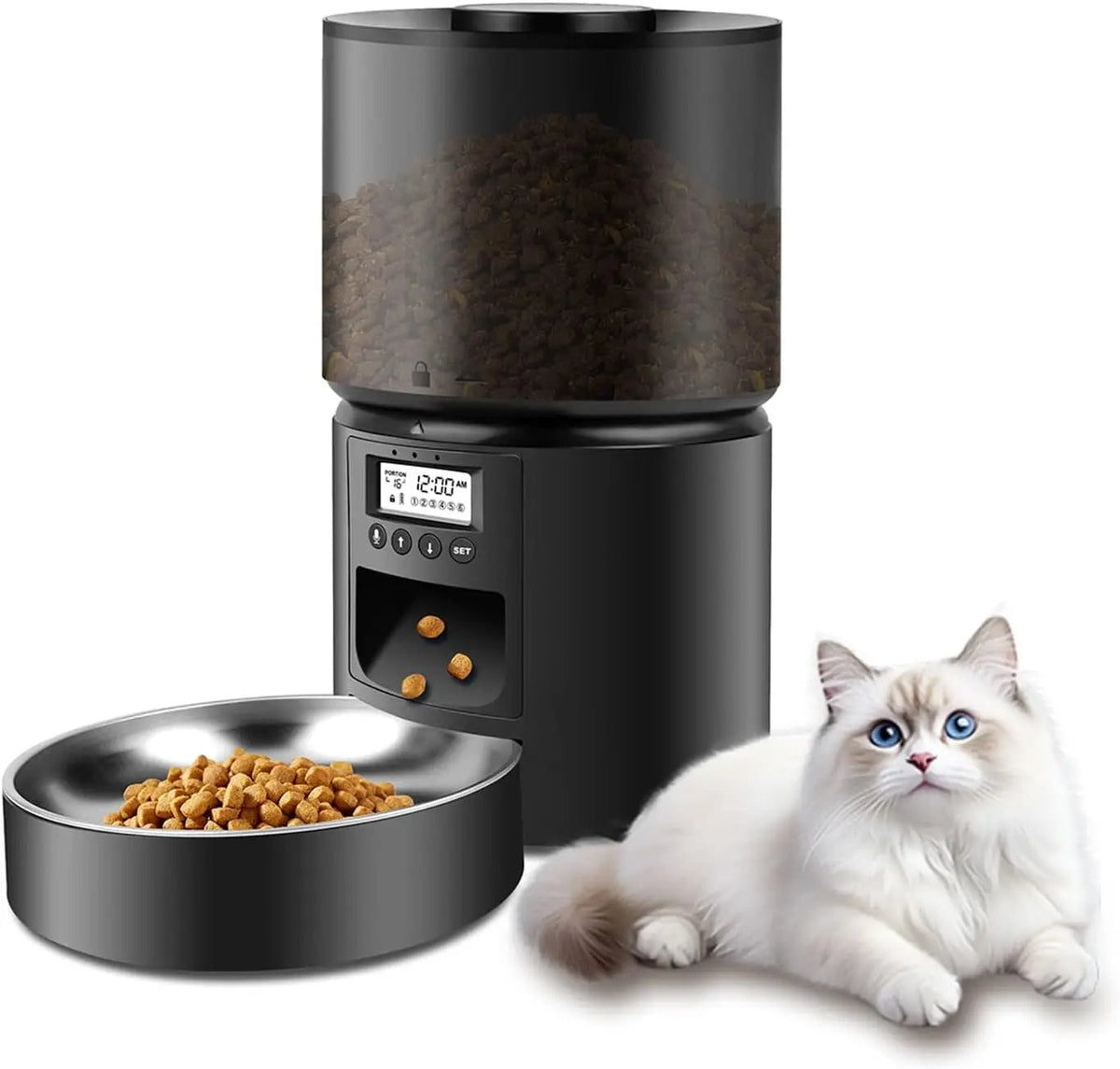 pet bowl – 2
