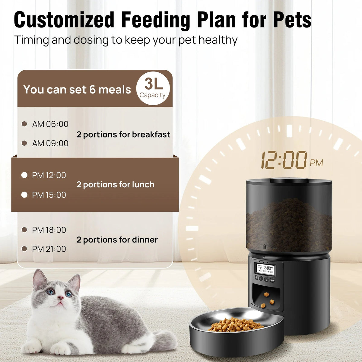 pet bowl – 6