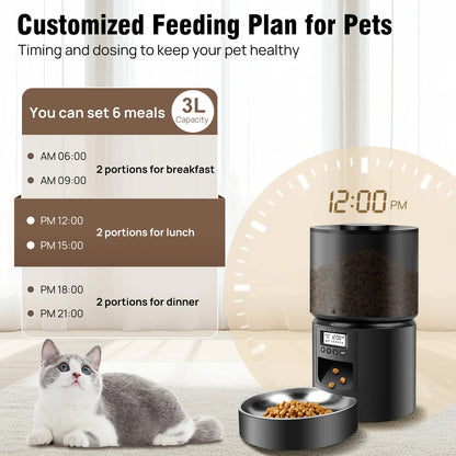 pet bowl – 6