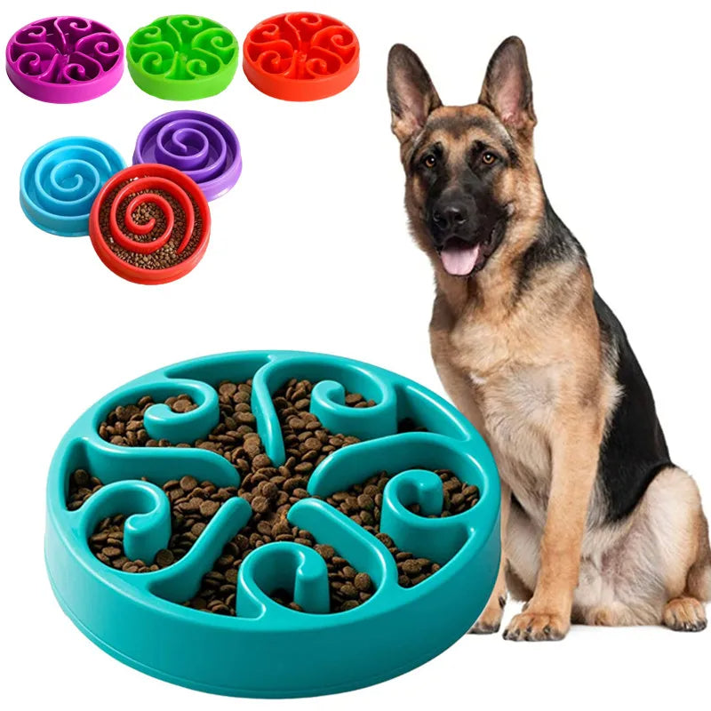pet bowl – 11