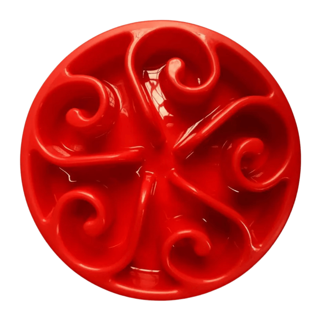 pet bowl – 6