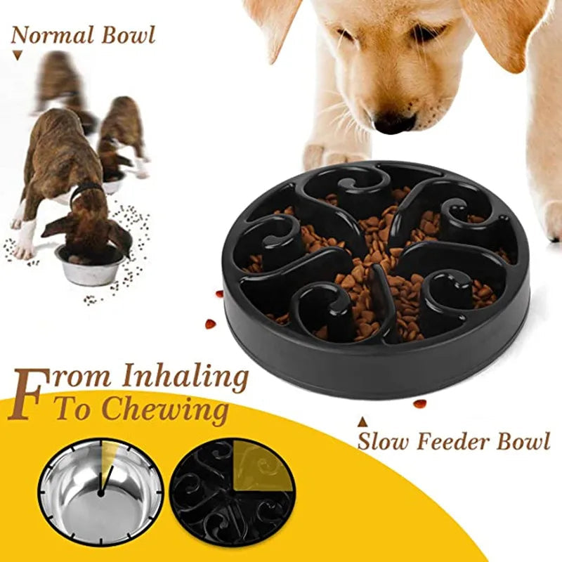 pet bowl – 9