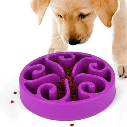 pet bowl