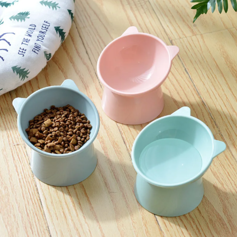 pet bowl
