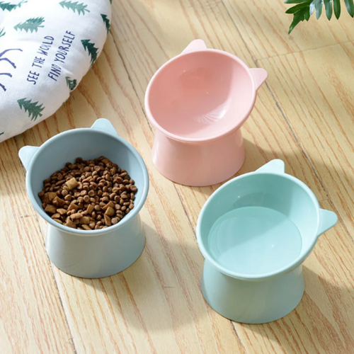 pet bowl
