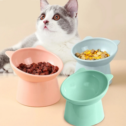 pet bowl