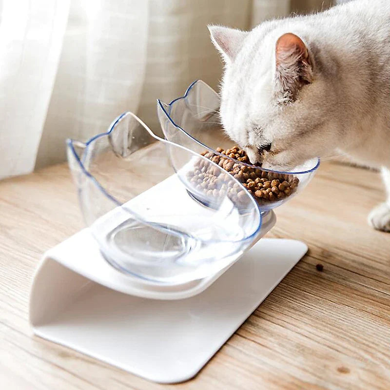 pet bowl