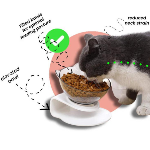 pet bowl
