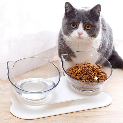 pet bowl