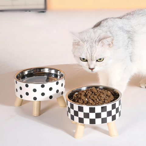 pet bowl