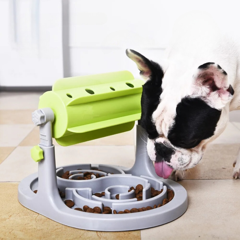 pet bowl