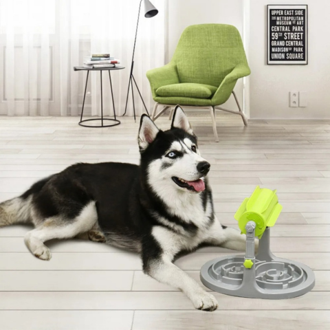 pet bowl