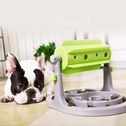 pet bowl