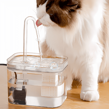 pet bowl