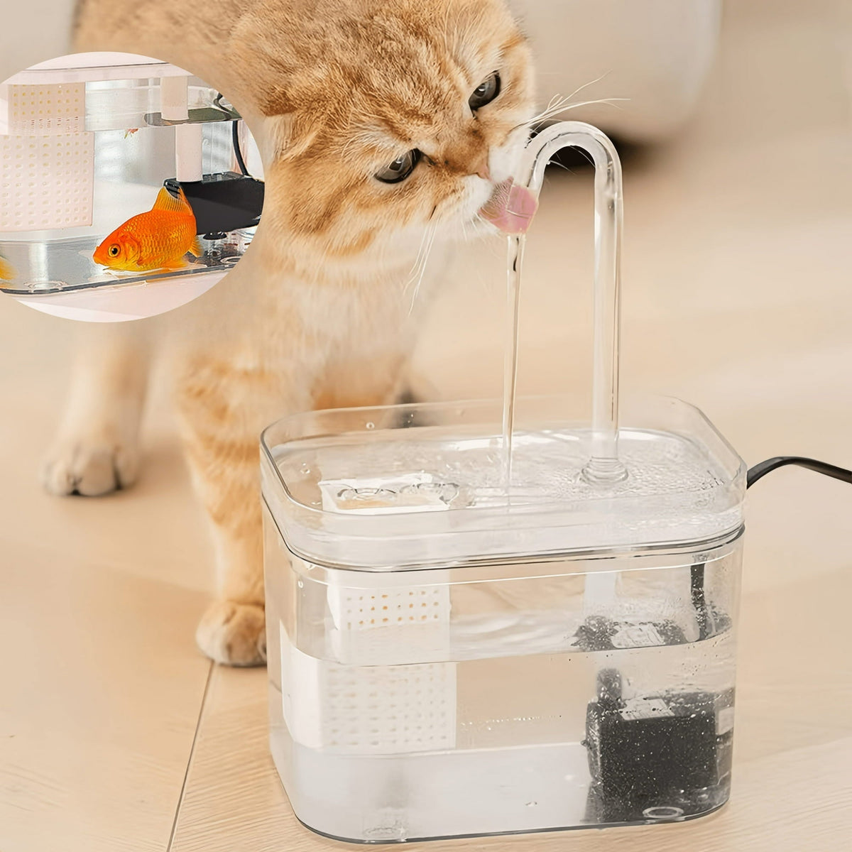 pet bowl – 2