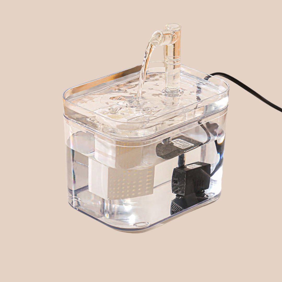 pet bowl – 6