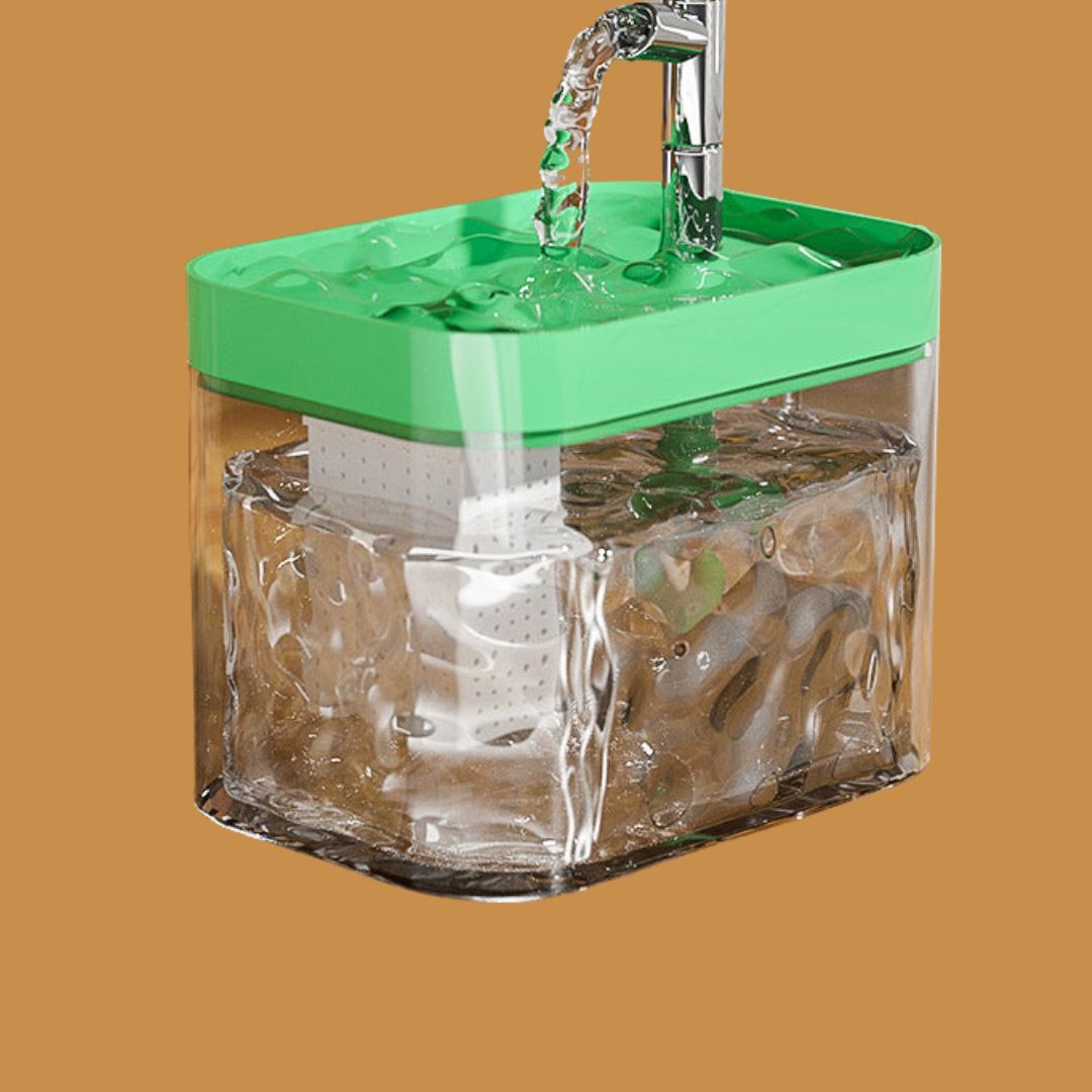 pet bowl – 8