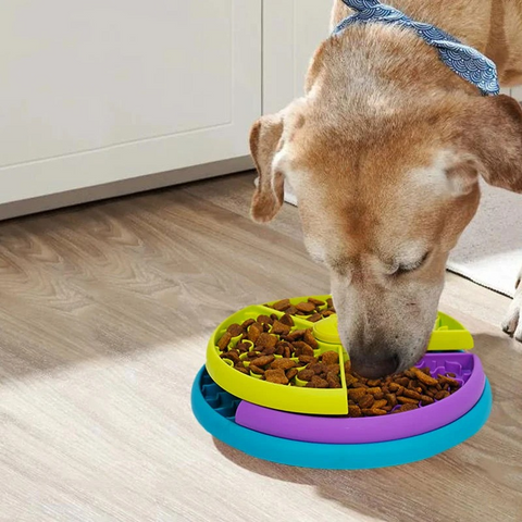 pet bowl