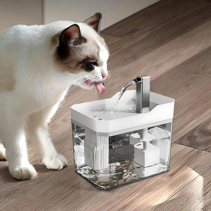 pet bowl