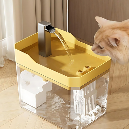 pet bowl