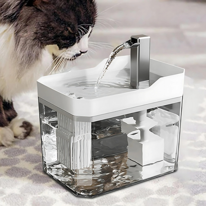 pet bowl