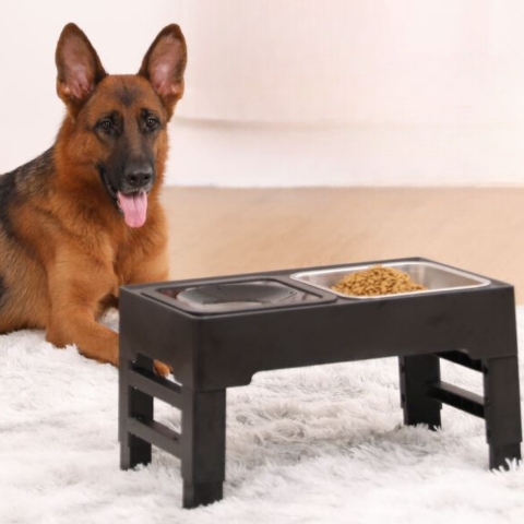 pet bowl