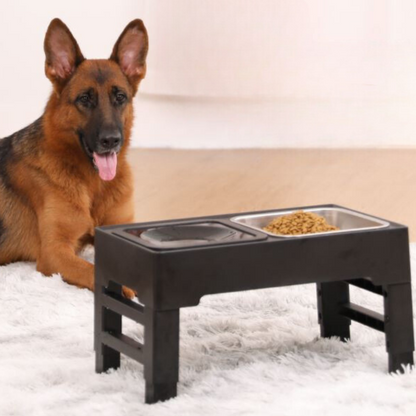 pet bowl