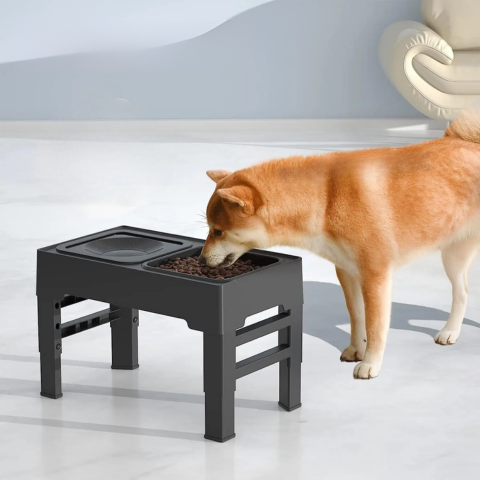 pet bowl