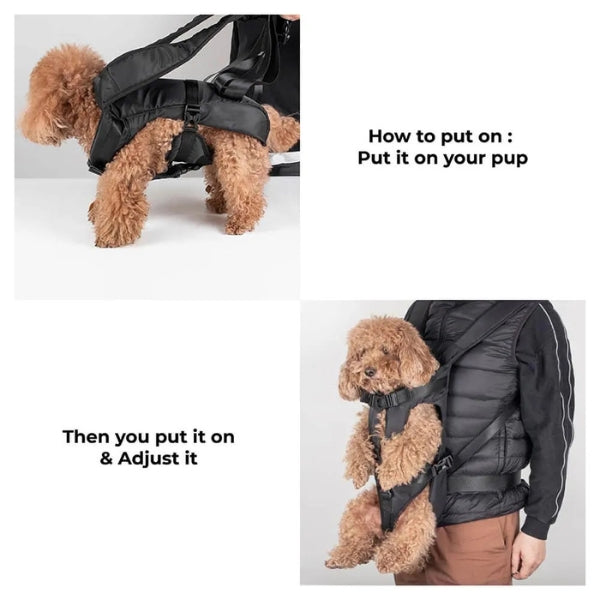 pet carrier – 12