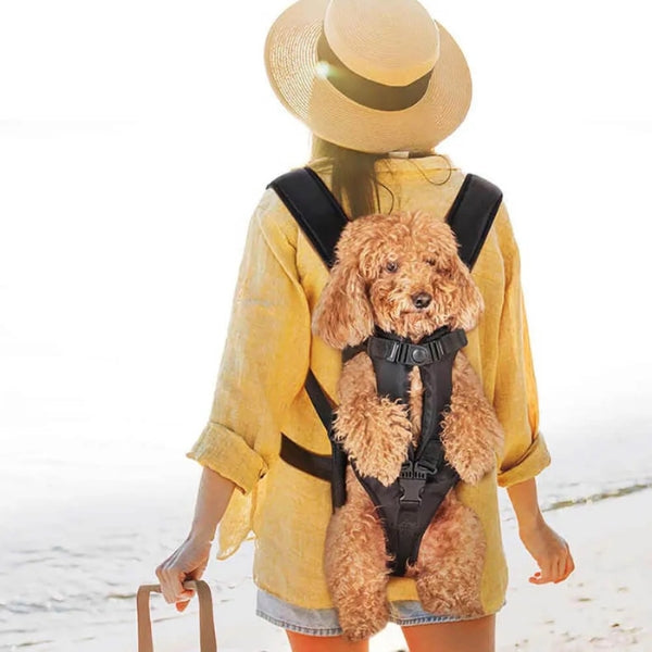 pet carrier – 6