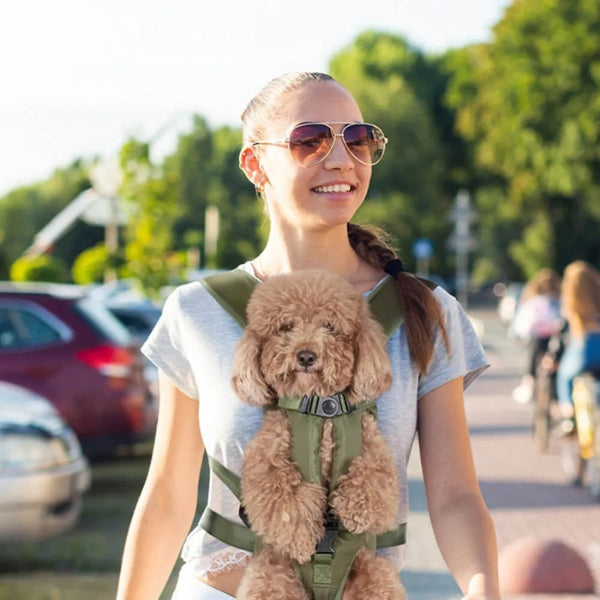 pet carrier – 7