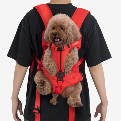 pet carrier – 8