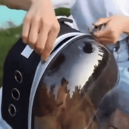 pet carrier