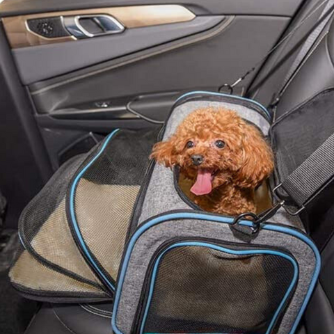 pet carrier