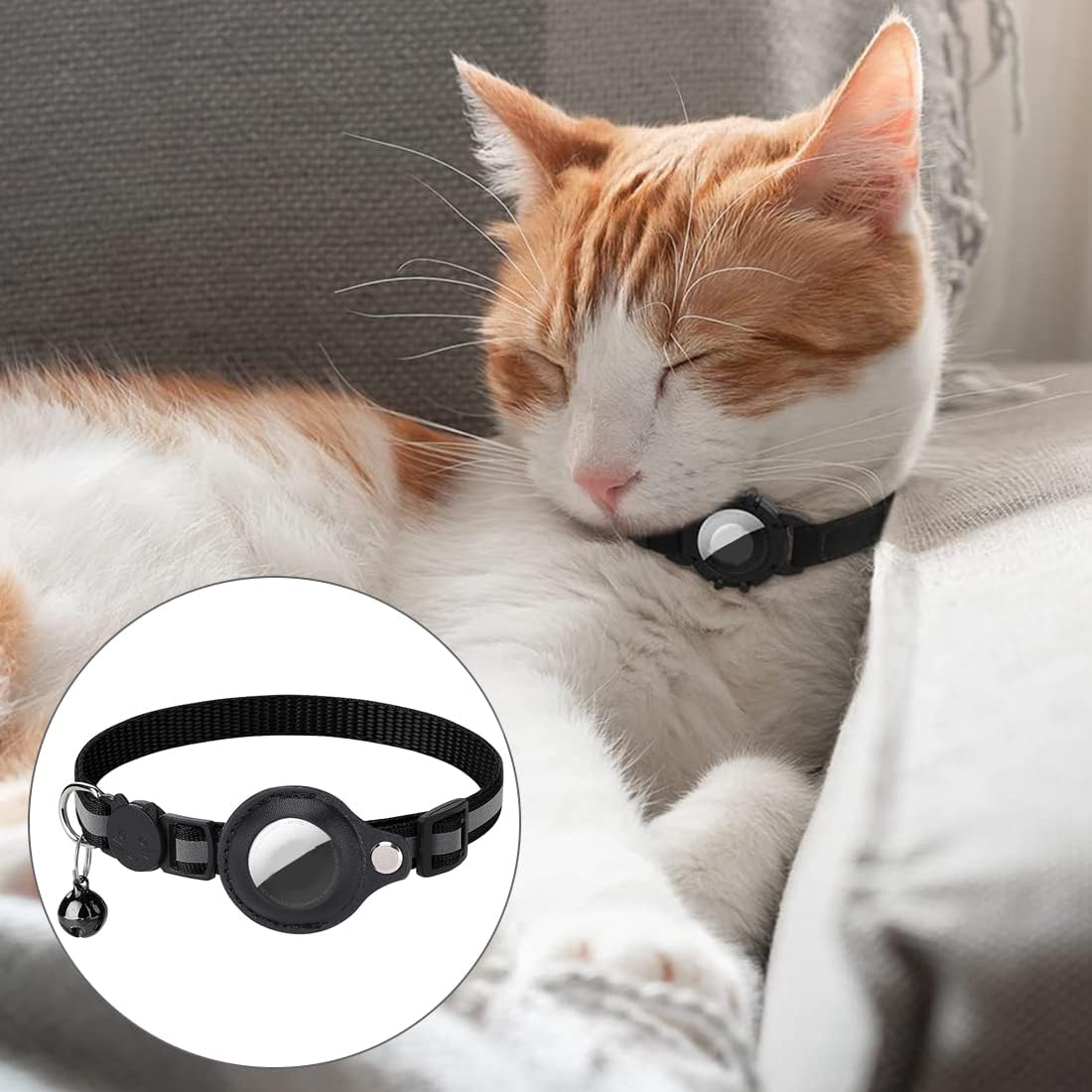 pet collar