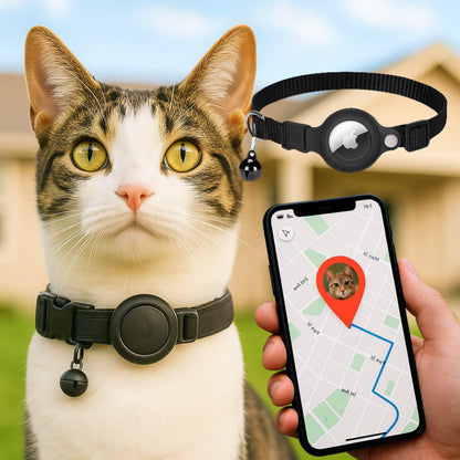 pet collar – 13