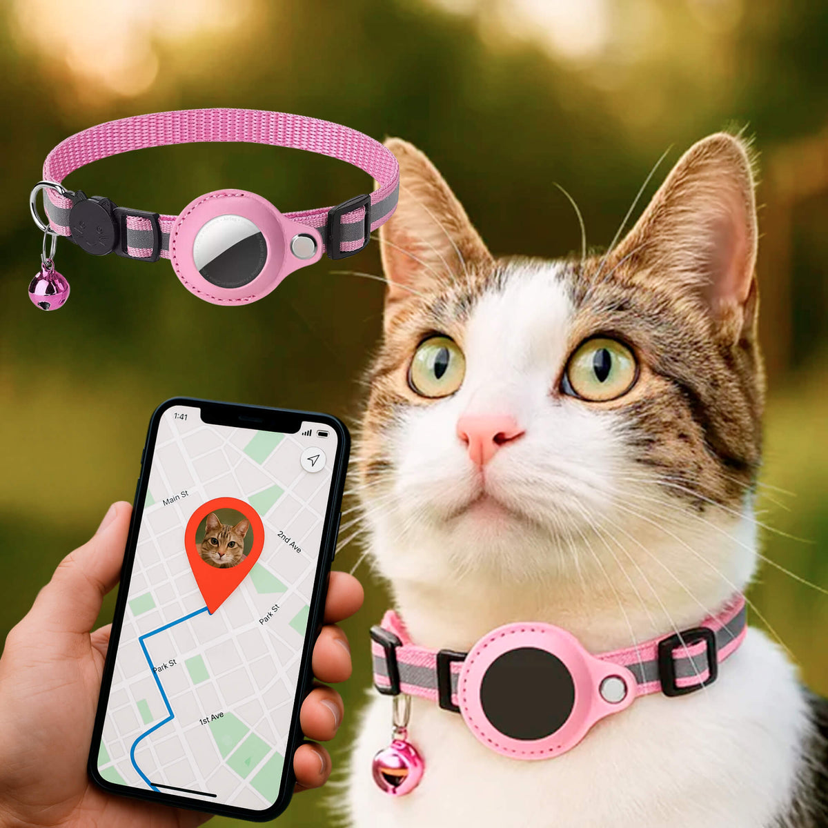 pet collar – 16