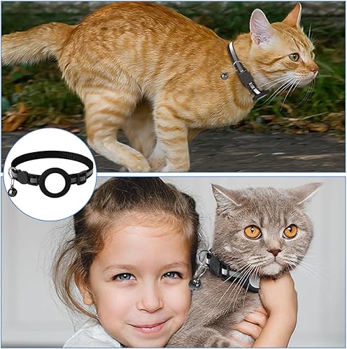 pet collar – 25