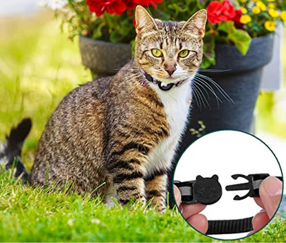 pet collar – 26