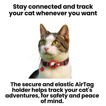 pet collar – 9