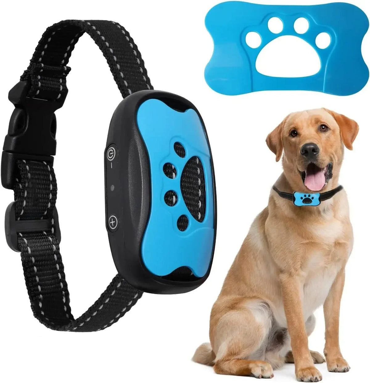 pet collar