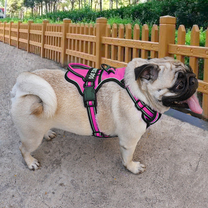 pet collar