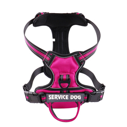 pet collar – 10