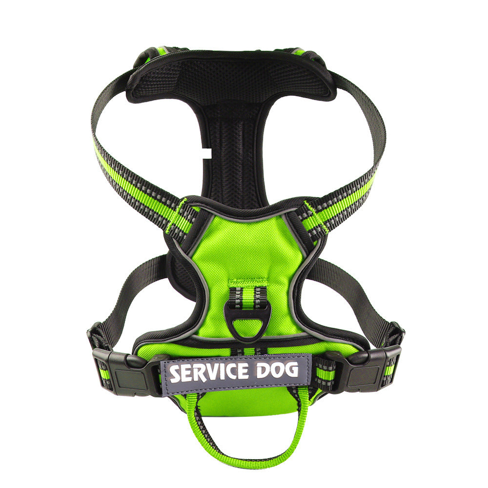 pet collar – 11