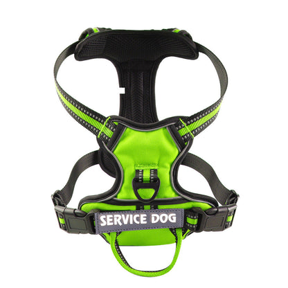 pet collar – 11